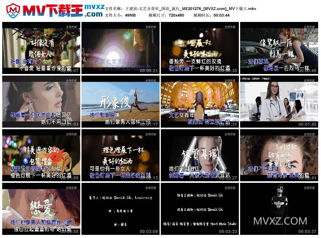 王建房-文艺女青年_国语_流行_ME201276